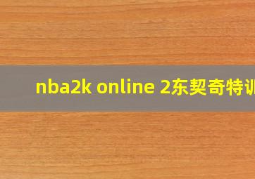 nba2k online 2东契奇特训